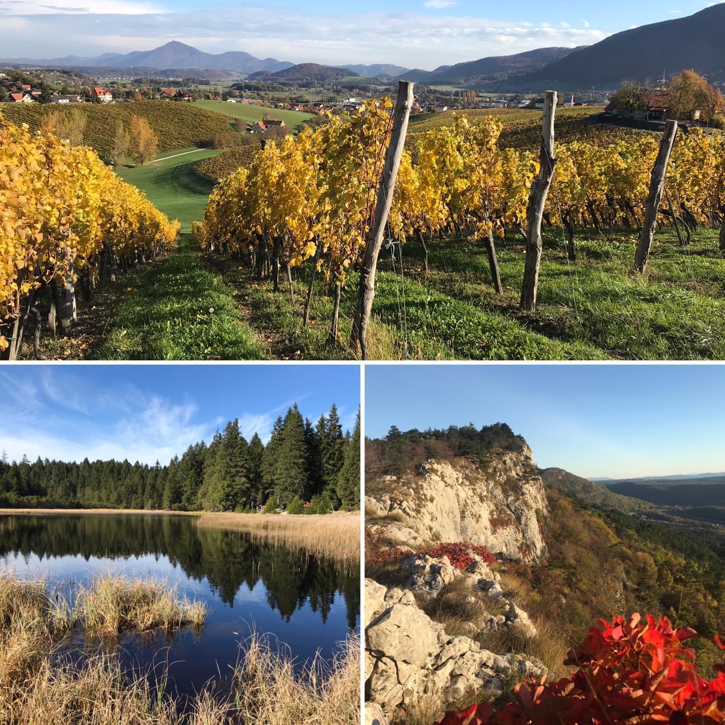 We hope that You are/were able to enjoy beautiful and colorful autumn time.Many Perfect #hiddengem in Slovenia 🇸🇮 for Vandrovc-Globetrotter travelers adventures. 👉www.vg-guides.com for tips or join our scheduled hiking tours.Small groups with other enthusiasts - perfect for solo travelers. 👉Tag someone who would love it.