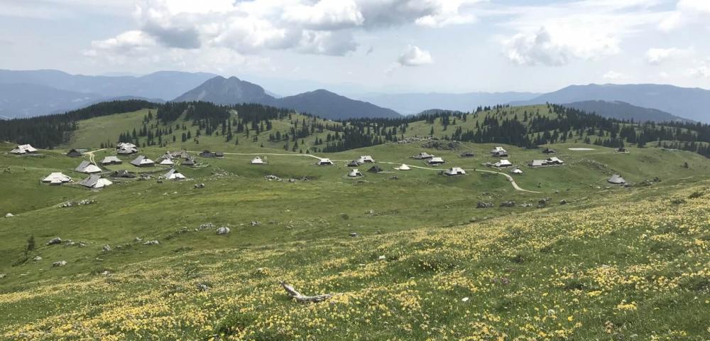 Vandrovc-Globetretter, Easy to moderate hiking in Slovenian Alps, Velika Planina 