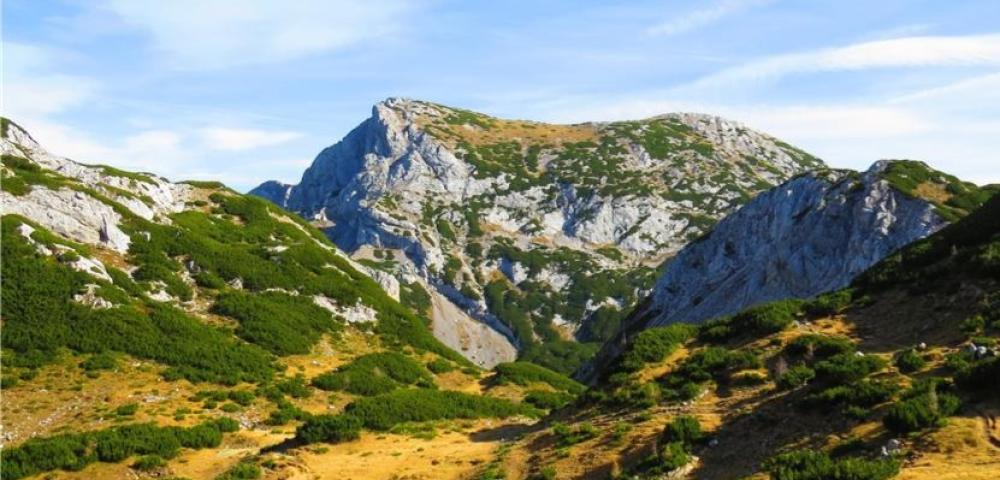 Dleskovška planota, visokogorska kraška planota, ki se razprostira med dolinami Kamniške Bele, Lučke Bele, Podvolovljeka in Robanovega kota.