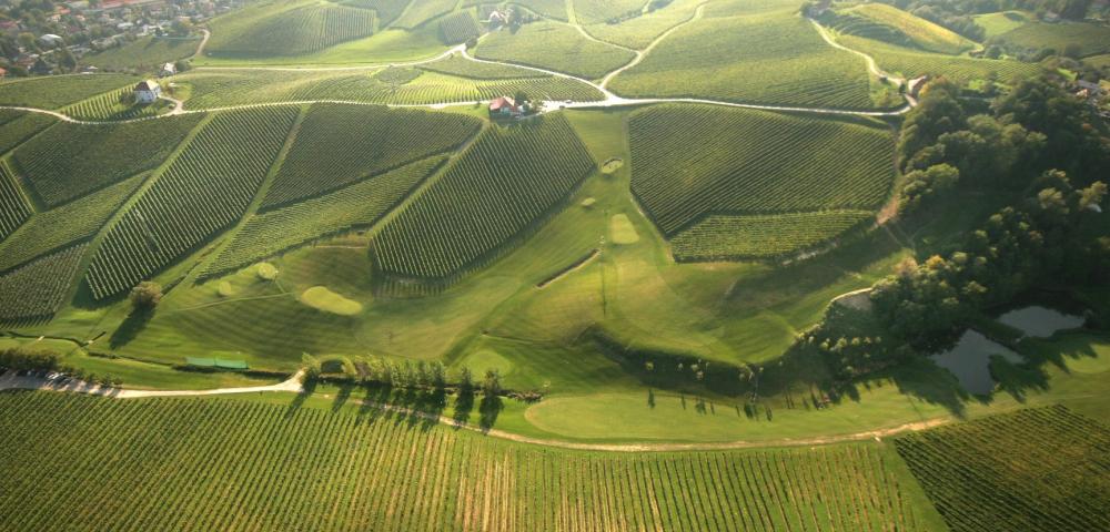 Golden hill, Slovenske Konjice, Slovenia