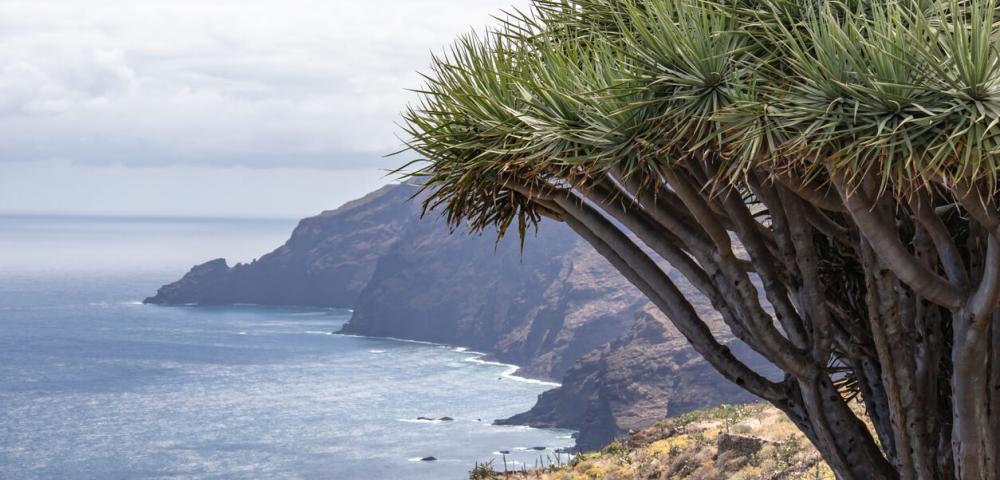 Severni del La Palme, zaščiteno področje narave, Kanarski otoki, La Palma