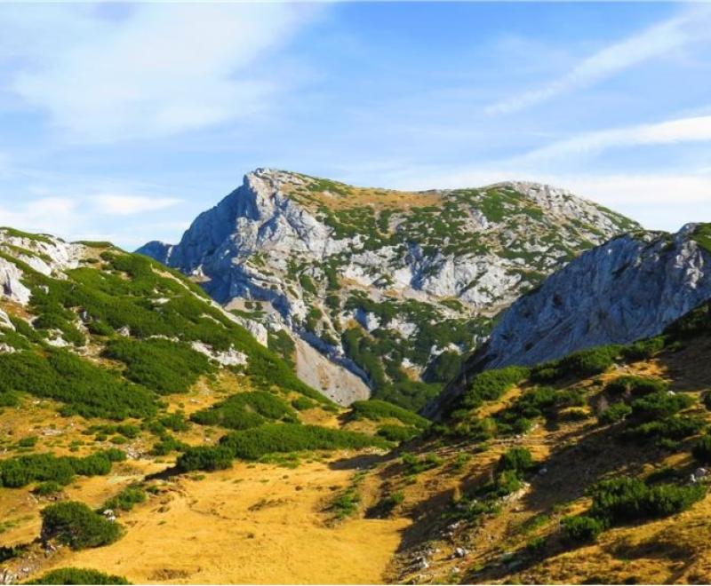 Dleskovška planota, visokogorska kraška planota, ki se razprostira med dolinami Kamniške Bele, Lučke Bele, Podvolovljeka in Robanovega kota.